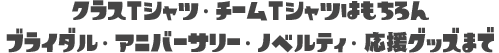 クラスTシャツ・チームTシャツはもちろんブライダル・アニバーサリー・ノベルティ・応援グッズまで